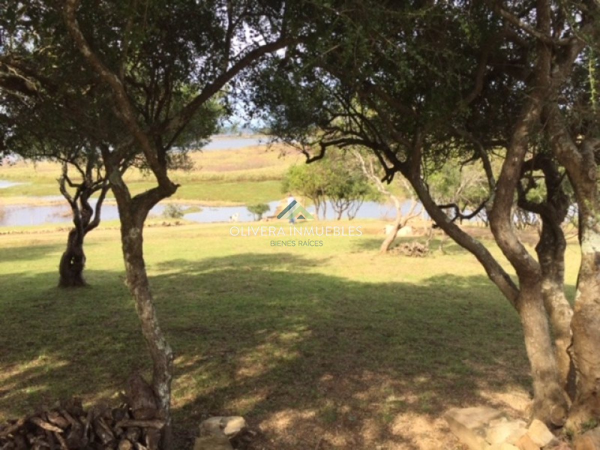 Chacra ID.3834 - Chacra sobre Laguna del Sauce