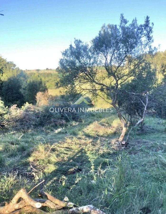 Chacra ID.13380 - EXCELENTE CHACRA A 6 KILOMETROS DE PUEBLO EDEN 