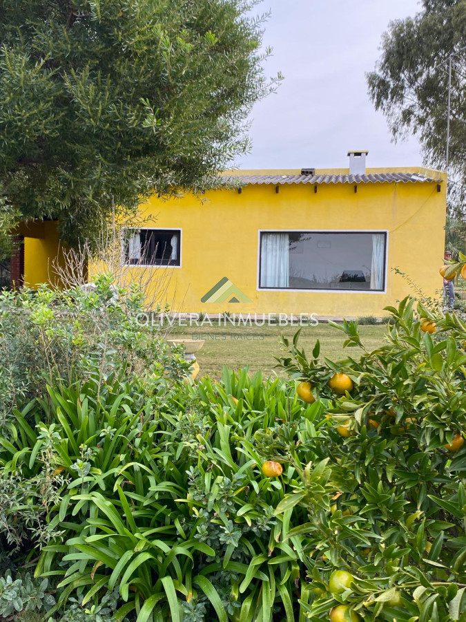 Chacra ID.12220 - Chacra en venta 3 hs sobre ruta 9, Garzón, Punta del Este