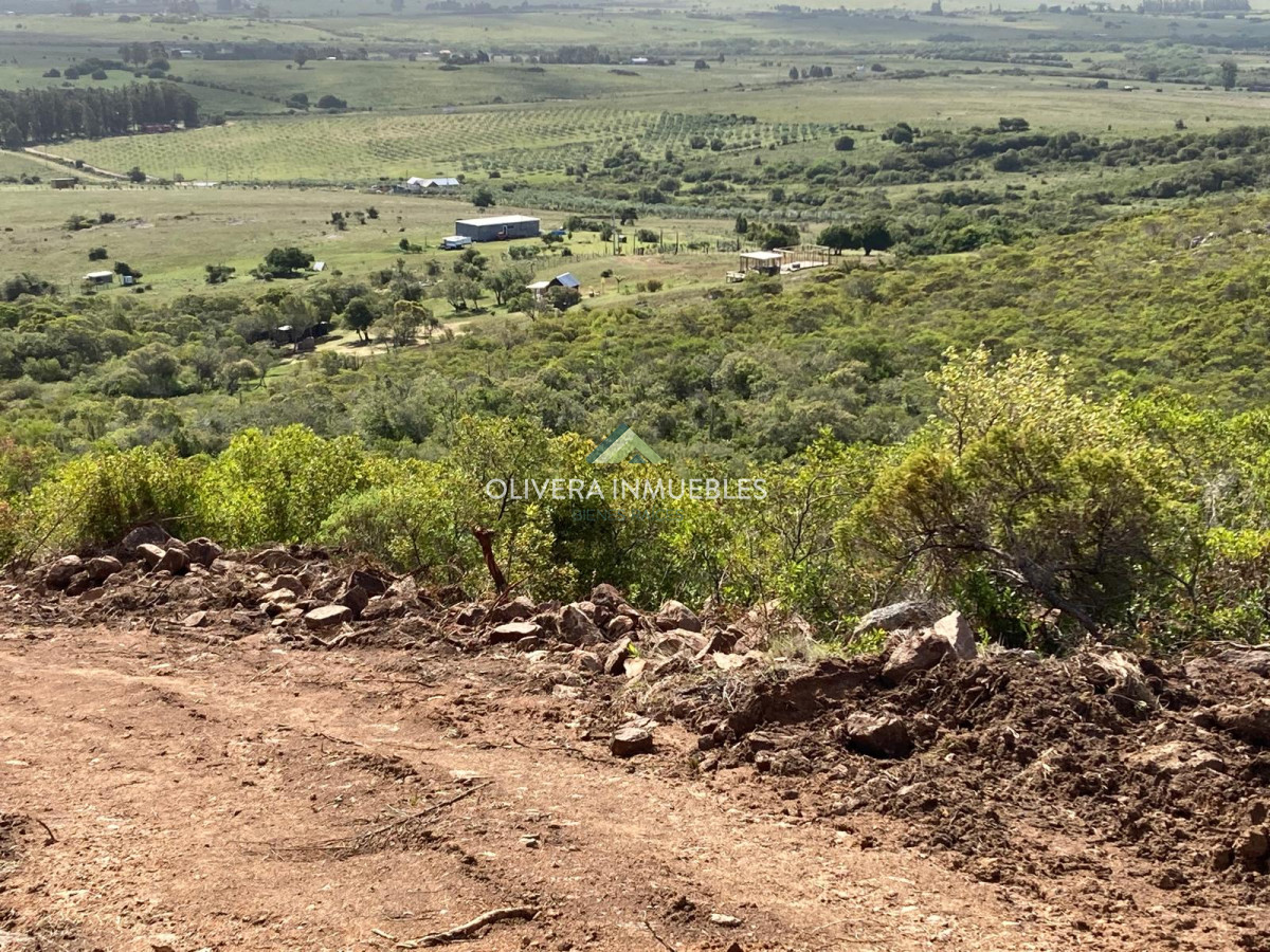 Chacra ID.12296 - CHACRA EN VENTA RUTA 39 PARAJE PASO DUTRA ( PUNTA DEL ESTE)