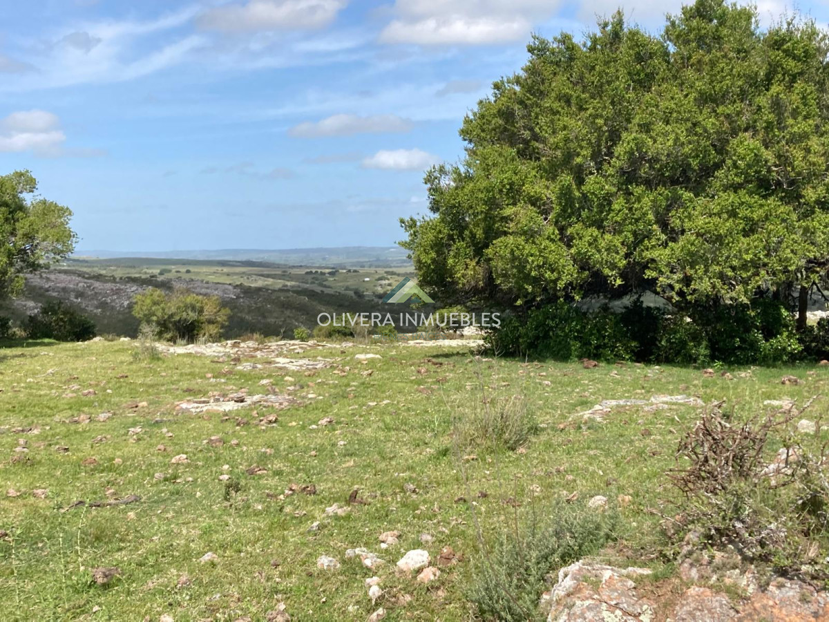 Chacra ID.12296 - CHACRA EN VENTA RUTA 39 PARAJE PASO DUTRA ( PUNTA DEL ESTE)