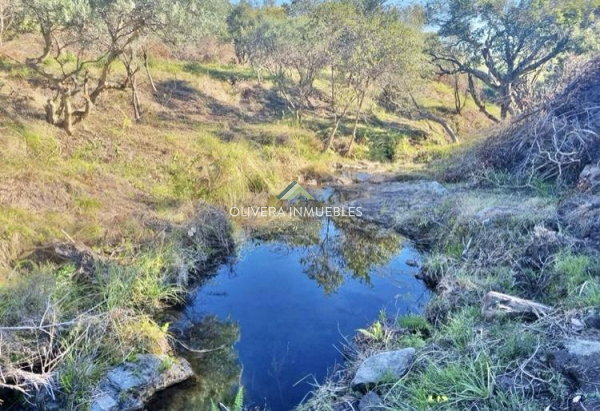 Chacra ID.13380 - EXCELENTE CHACRA A 6 KILOMETROS DE PUEBLO EDEN 