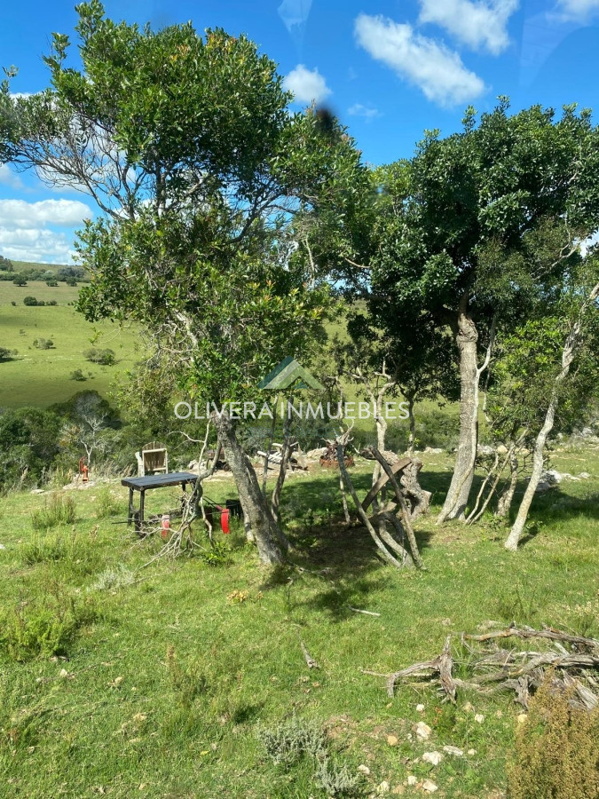 Chacra ID.11680 - Hermosa chacra con arrollo y 2 tajamares Pueblo Edén 