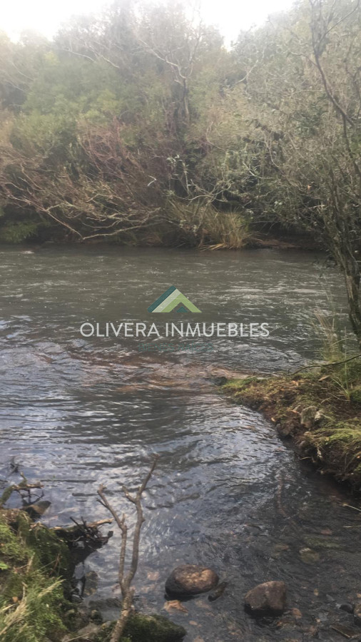 Chacra ID.5813 - Chacra de 7,5 has. Ruta 39.