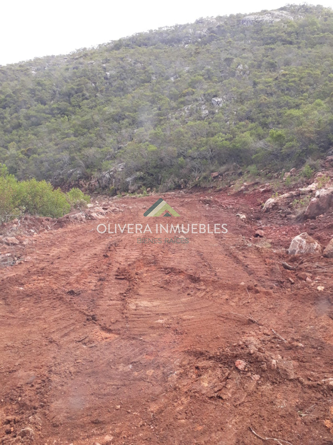 Chacra ID.12296 - CHACRA EN VENTA RUTA 39 PARAJE PASO DUTRA ( PUNTA DEL ESTE)