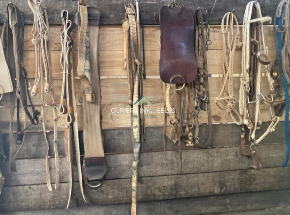 Chacra ID.11681 -  Excelente Chacra de 10 hectáreas  en Pueblo Edén 