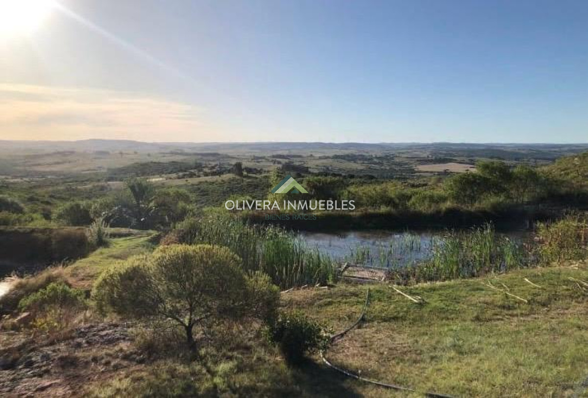 Chacra ID.12453 - CHACRA 5 HECTAREAS LAS CAÑAS (PUNTA DEL ESTE)  VENTA 