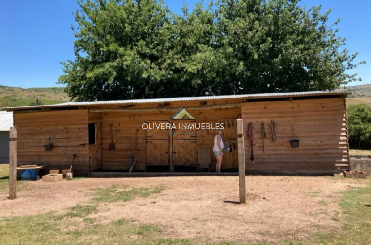 Chacra ID.11681 -  Excelente Chacra de 10 hectáreas  en Pueblo Edén 