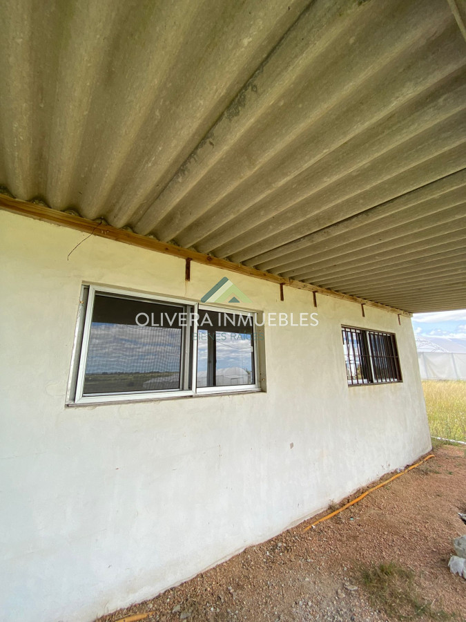 Chacra ID.13165 - Chacra a la venta Corte de la leña (Punta del Este)
