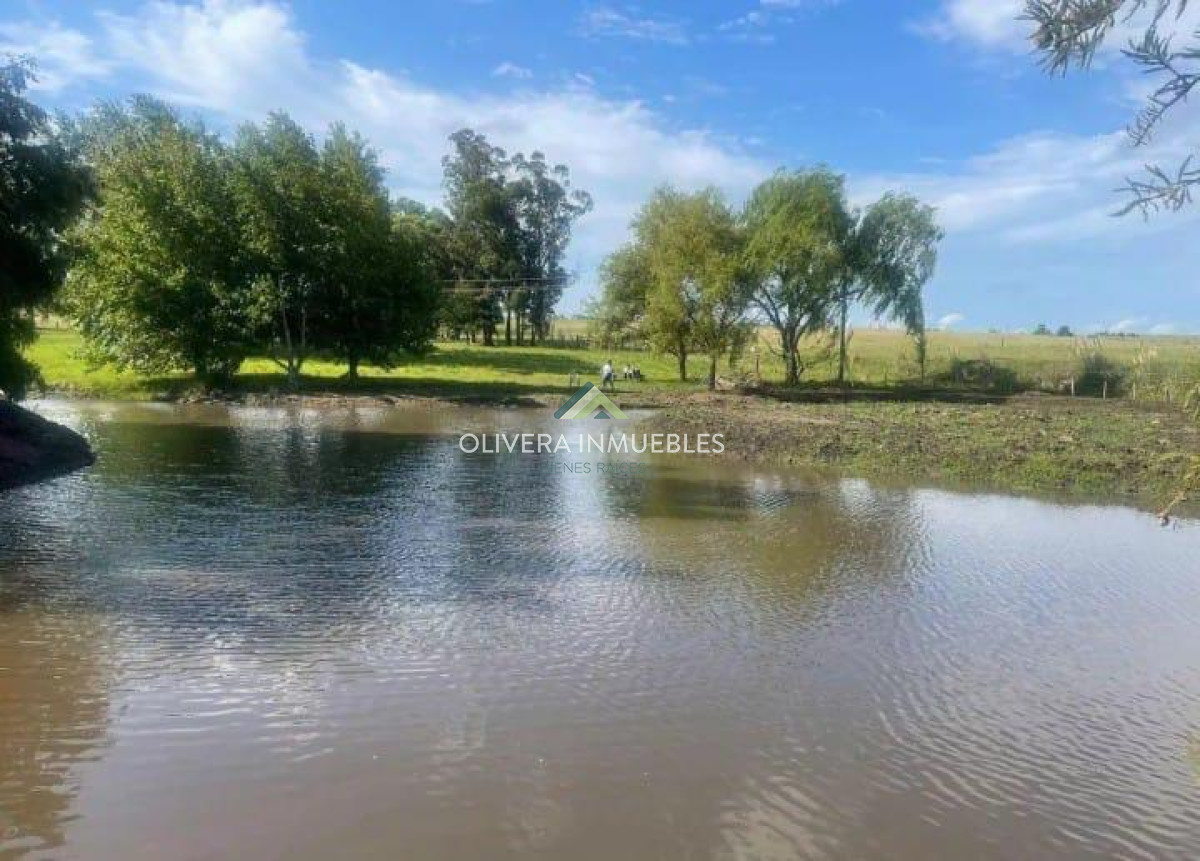 Chacra ID.13441 - Excelente chacra en Venta en ruta 12 