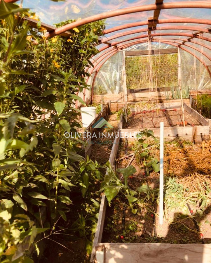 Chacra ID.12387 - CHACRA DE 5 HECTAREAS EN VENTA LAS CAÑAS ( PUNTA DEL ESTE )