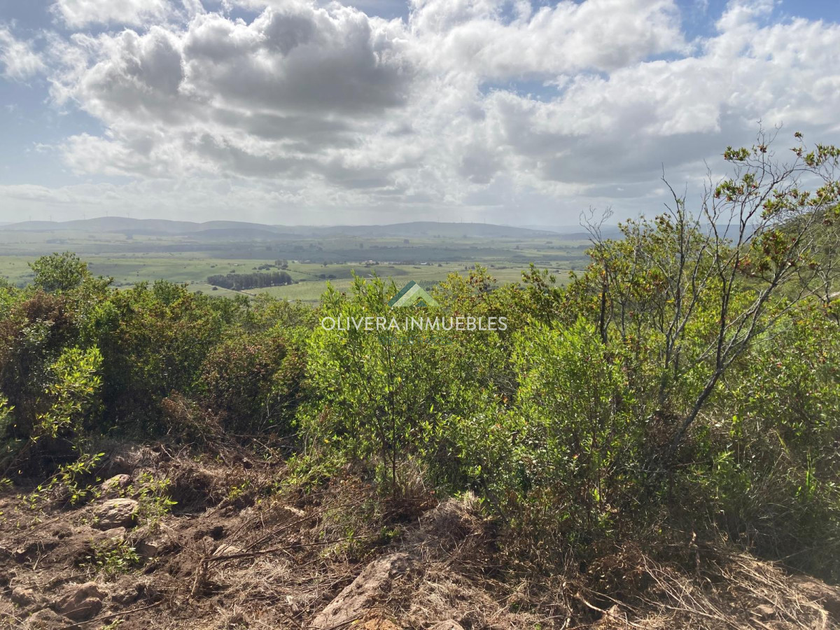 Chacra ID.12296 - CHACRA EN VENTA RUTA 39 PARAJE PASO DUTRA ( PUNTA DEL ESTE)