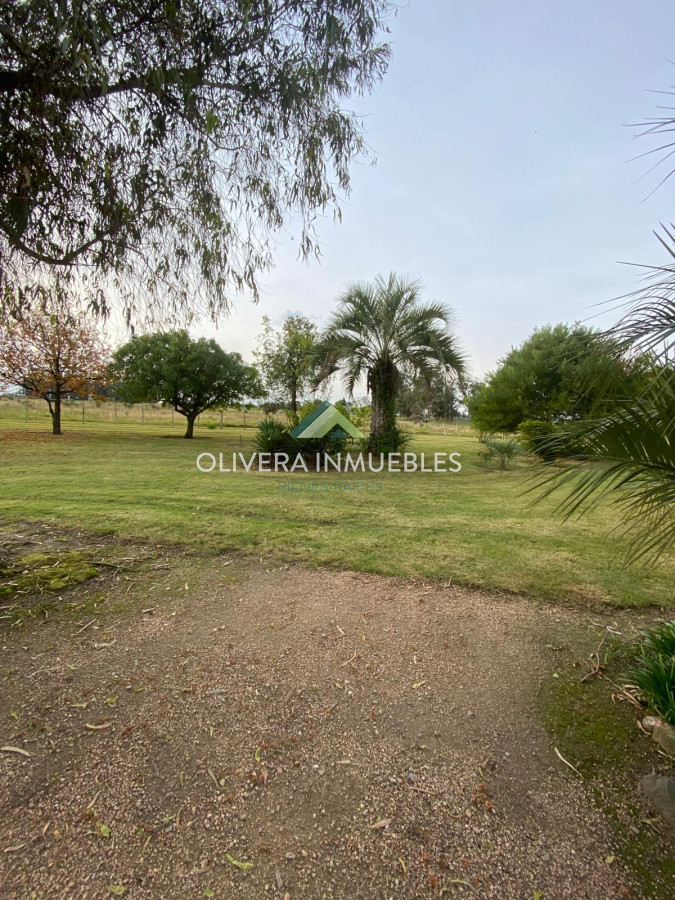 Chacra ID.12220 - Chacra en venta 3 hs sobre ruta 9, Garzón, Punta del Este