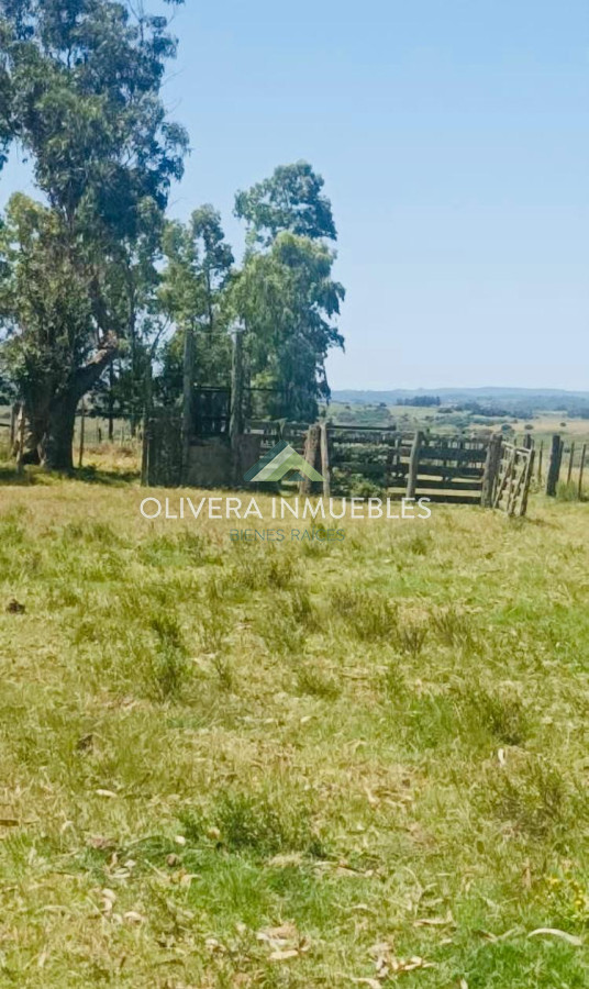 Chacra ID.13166 - Chacra de 28 hectáreas Paso Dutra (Punta del Este )