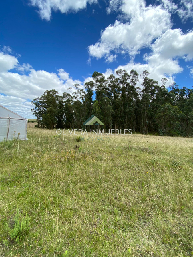 Chacra ID.13165 - Chacra a la venta Corte de la leña (Punta del Este)