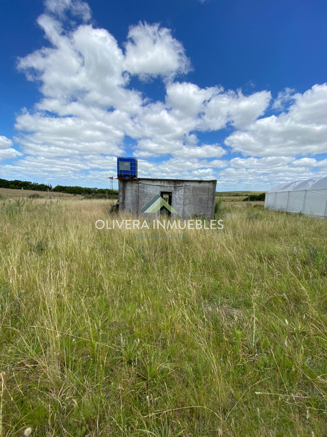 Chacra ID.13165 - Chacra a la venta Corte de la leña (Punta del Este)