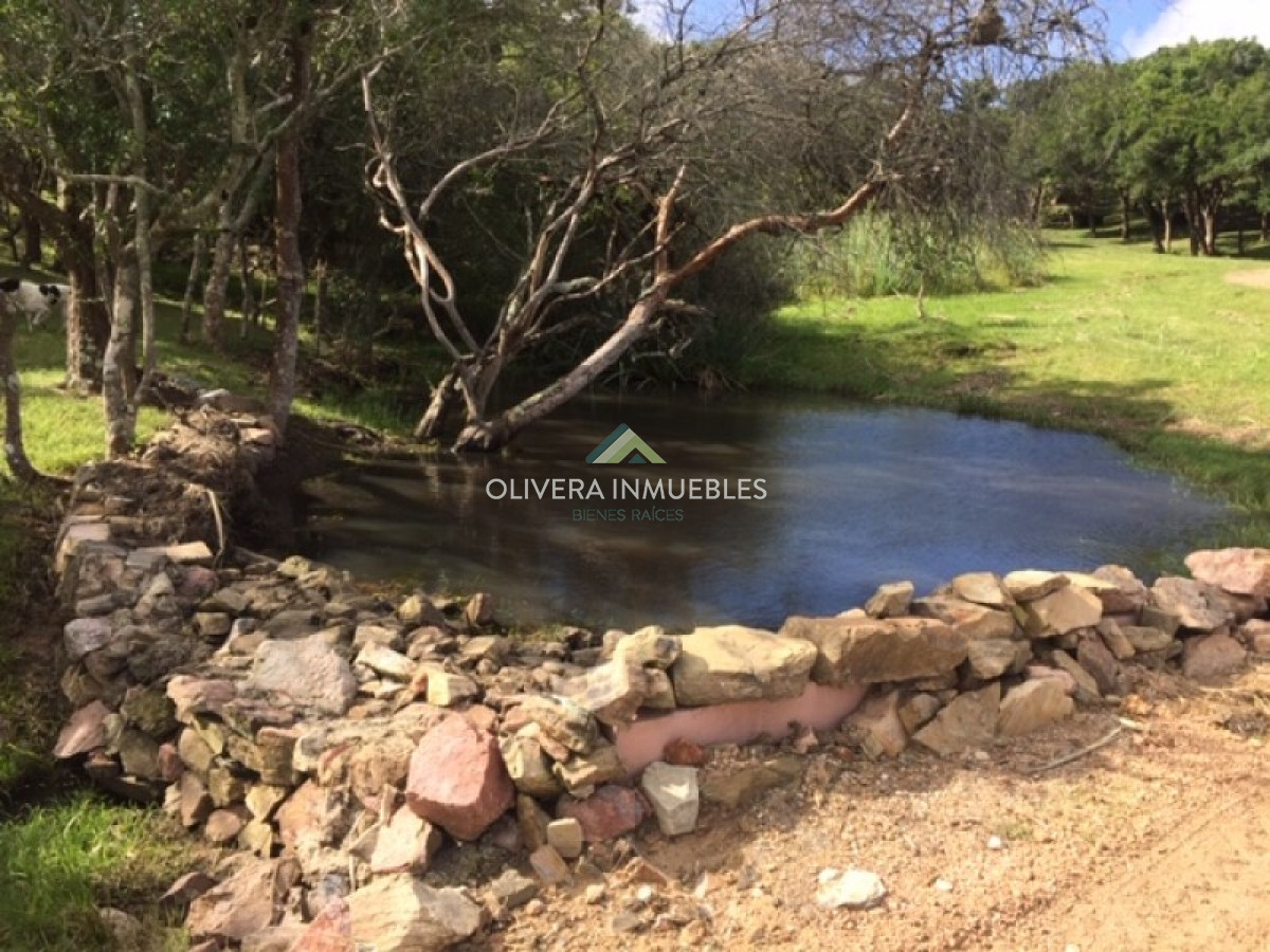 Chacra ID.3834 - Chacra sobre Laguna del Sauce
