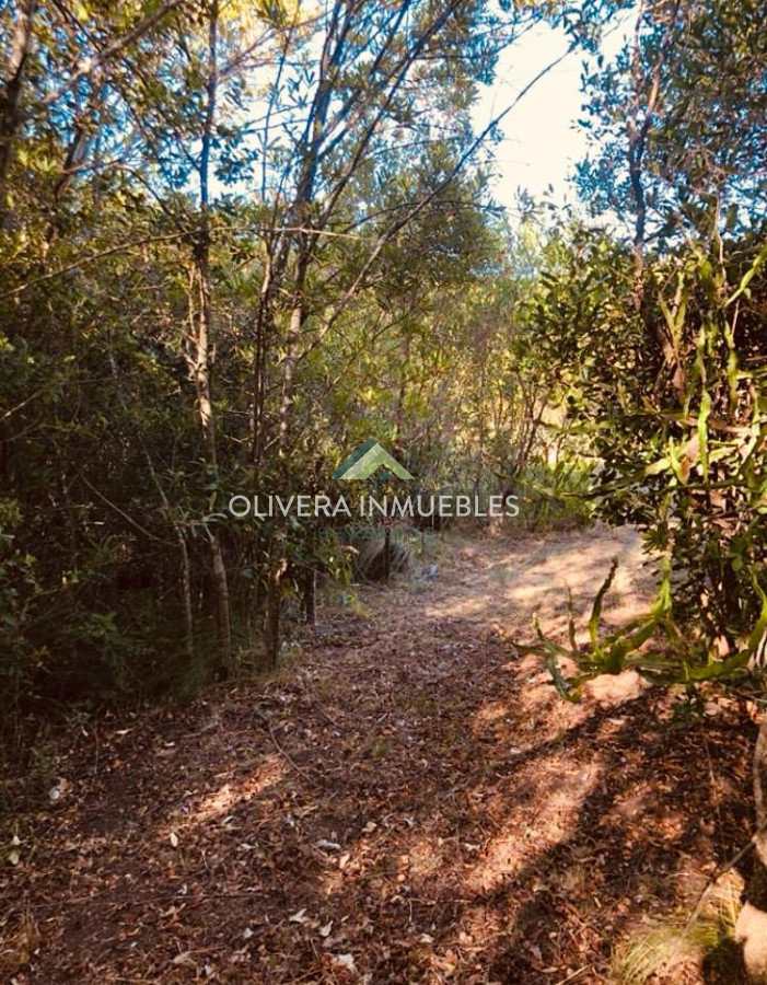 Chacra ID.12387 - CHACRA DE 5 HECTAREAS EN VENTA LAS CAÑAS ( PUNTA DEL ESTE )