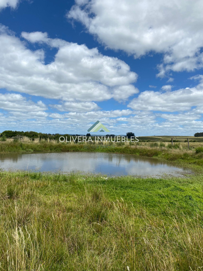 Chacra ID.13165 - Chacra a la venta Corte de la leña (Punta del Este)