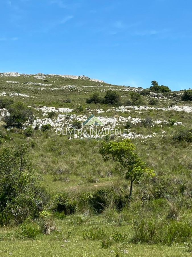 Chacra ID.11250 - Chacras de 5 hectáreas vistas hermosas , ideal para invertir .