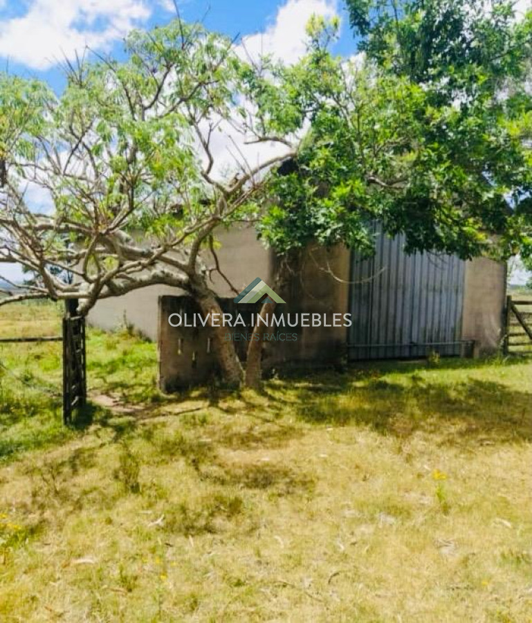 Chacra ID.13166 - Chacra de 28 hectáreas Paso Dutra (Punta del Este )