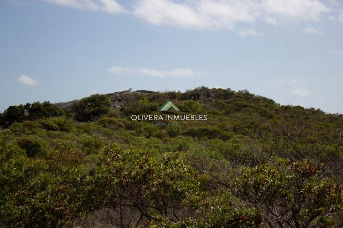 Chacra ID.12296 - CHACRA EN VENTA RUTA 39 PARAJE PASO DUTRA ( PUNTA DEL ESTE)
