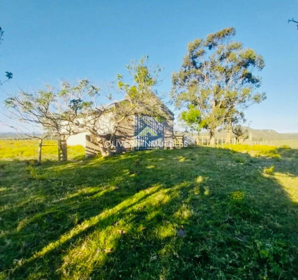 Chacra ID.13166 - Chacra de 28 hectáreas Paso Dutra (Punta del Este )