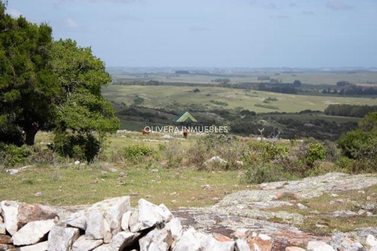 Chacra ID.12296 - CHACRA EN VENTA RUTA 39 PARAJE PASO DUTRA ( PUNTA DEL ESTE)