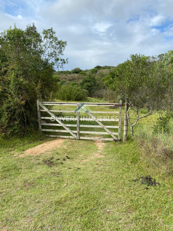 Chacra ID.13403 - CHACRA EN RUTA 12 A 3 KILOMETROS DE PUEBLO EDEN LUGAR PRIVILEGIADO 