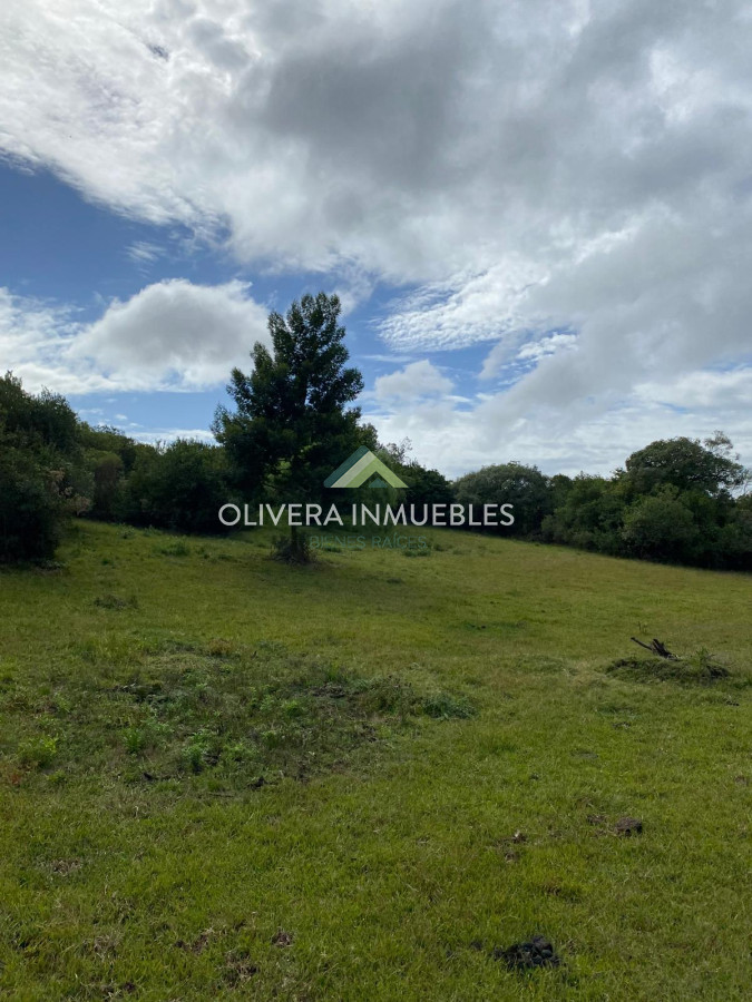 Chacra ID.13403 - CHACRA EN RUTA 12 A 3 KILOMETROS DE PUEBLO EDEN LUGAR PRIVILEGIADO 