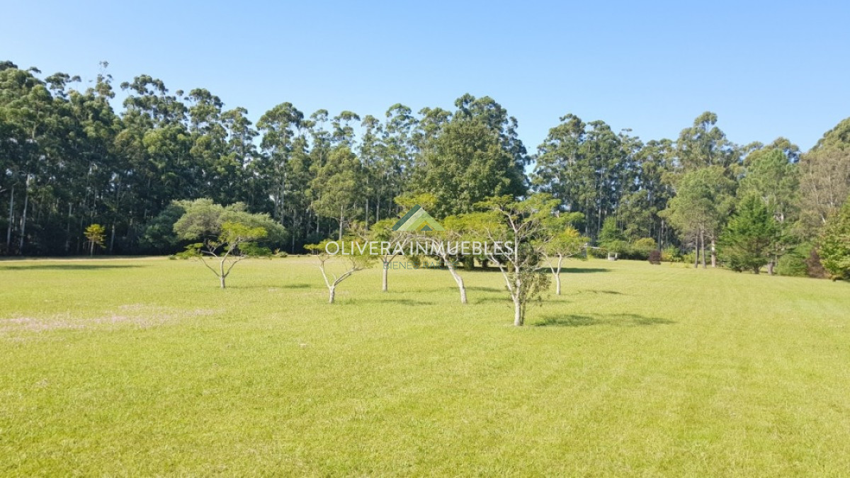 Chacra ID.3835 - Lujosa chacra en la Laguna del Sauce.