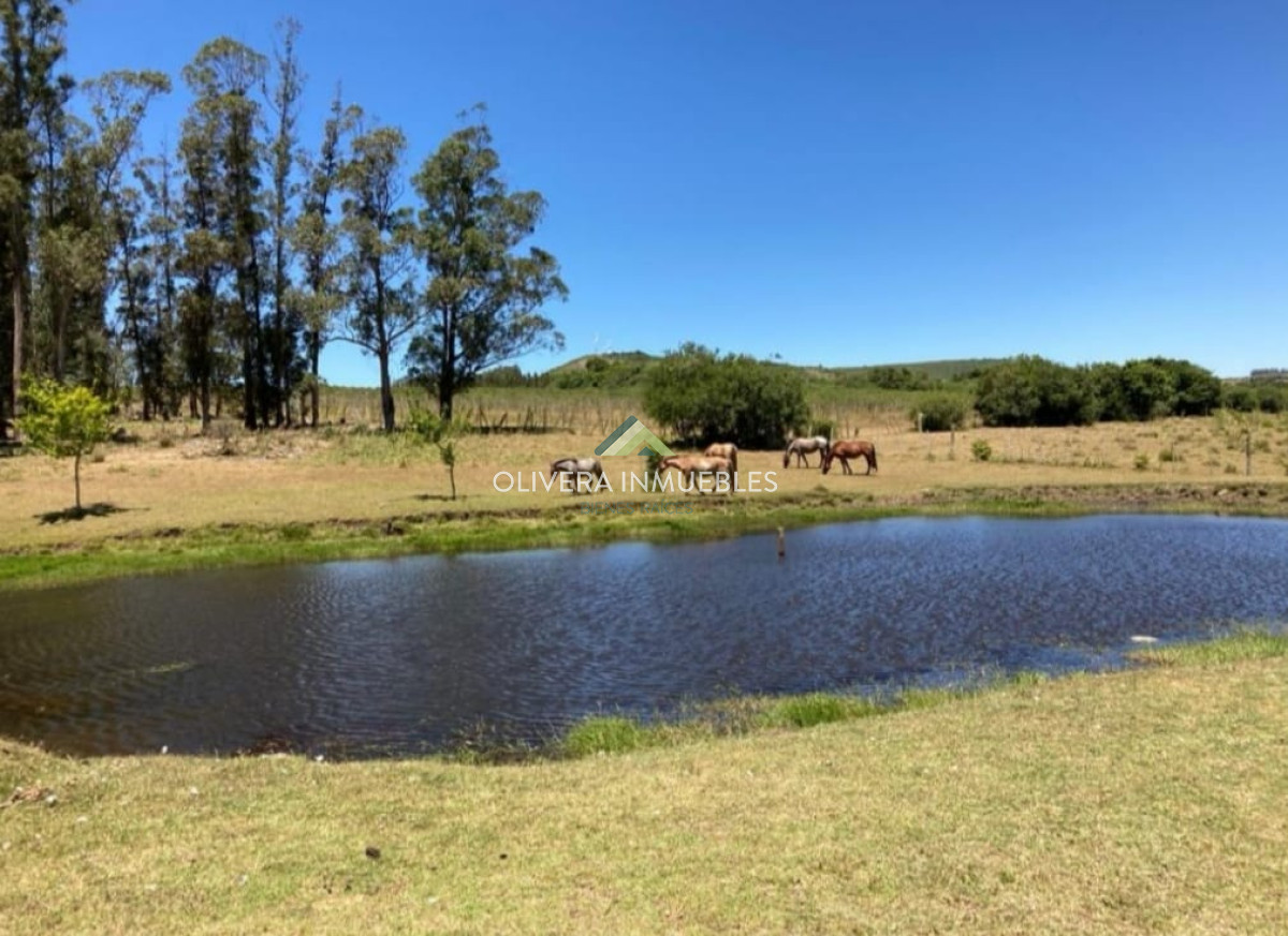 Chacra ID.11681 -  Excelente Chacra de 10 hectáreas  en Pueblo Edén 