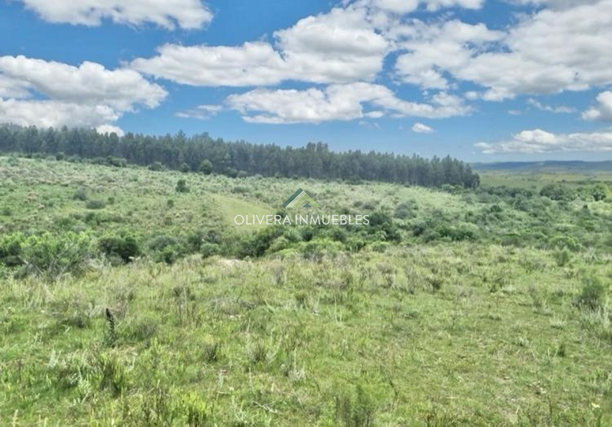Chacra ID.13380 - EXCELENTE CHACRA A 6 KILOMETROS DE PUEBLO EDEN 