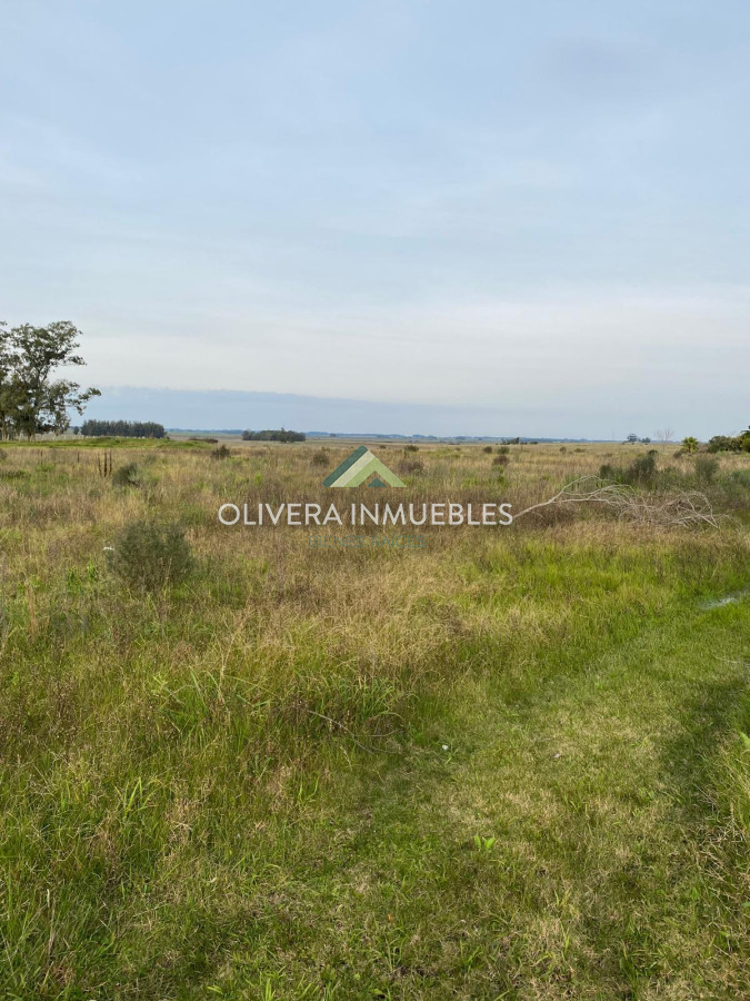 Chacra ID.12220 - Chacra en venta 3 hs sobre ruta 9, Garzón, Punta del Este