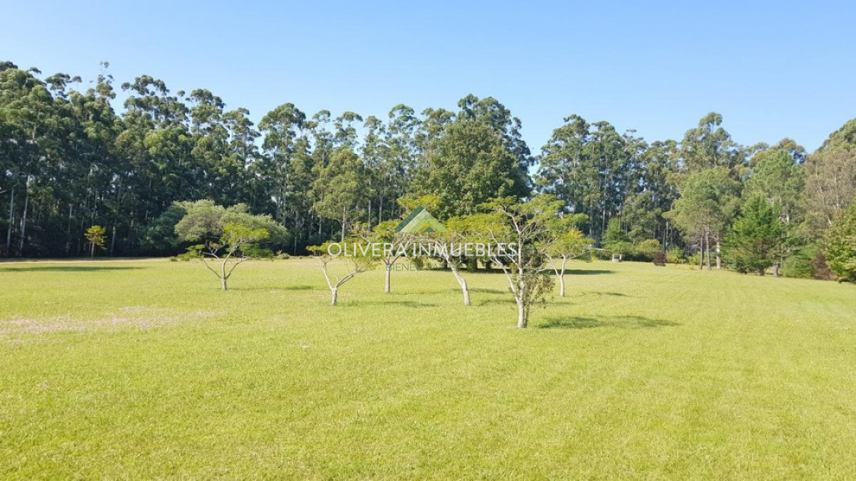 Chacra ID.3835 - Lujosa chacra en la Laguna del Sauce.