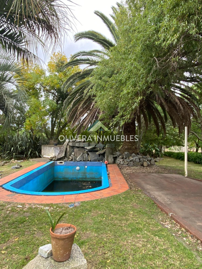 Chacra ID.13388 - CHACRA DE 5 HECTAREAS ABRA DE PERDOMO 