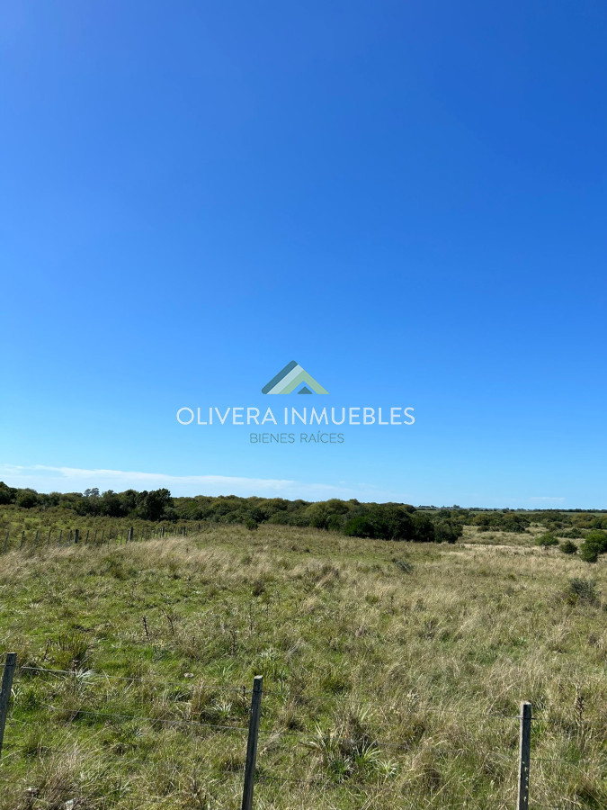 Campo Ref.9808 - VENTA DE CAMPO EN SAN CARLOS