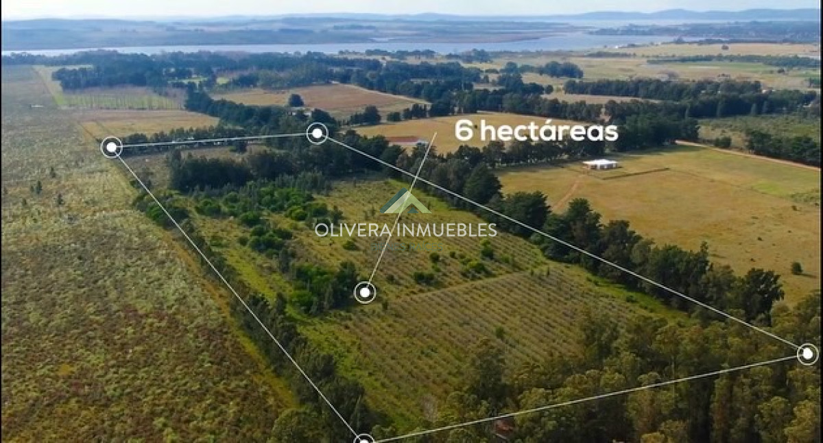 Campo Ref.9631 - VENTA CAMPO EN RUTA INTERBALNEARIA
