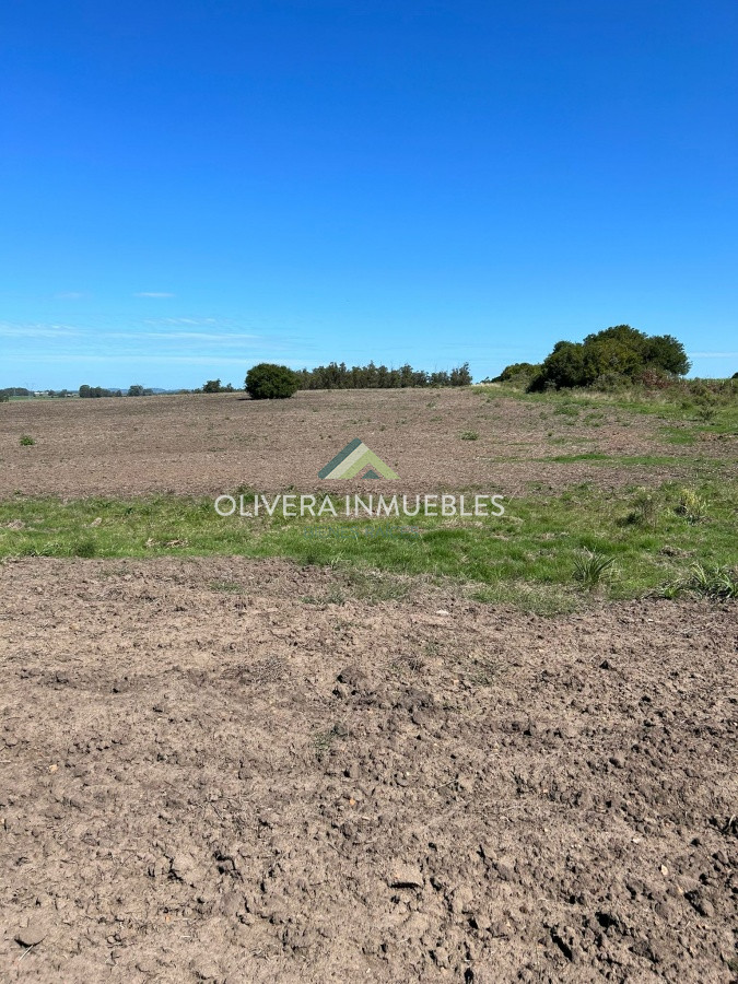 Campo Ref.9806 - VENTA CAMPO EN SAN CARLOS