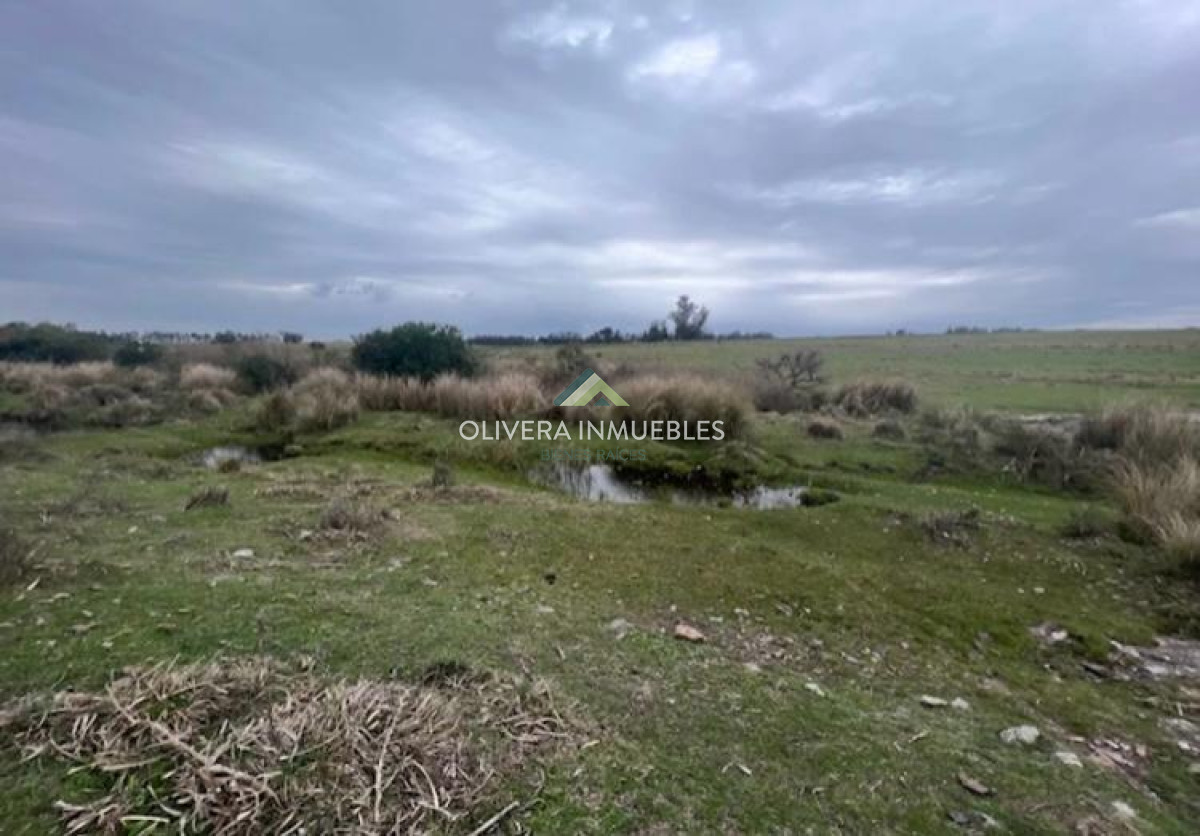 Campo Ref.11848 - Campo con cañada , monte eucaliptus , tajamar , casa 