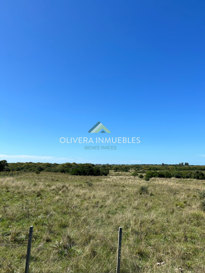 Campo Ref.9808 - VENTA DE CAMPO EN SAN CARLOS