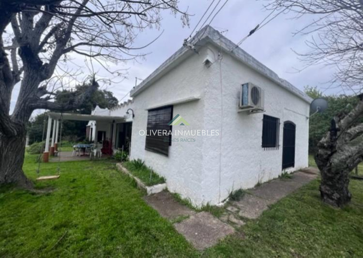 Campo Ref.11848 - Campo con cañada , monte eucaliptus , tajamar , casa 