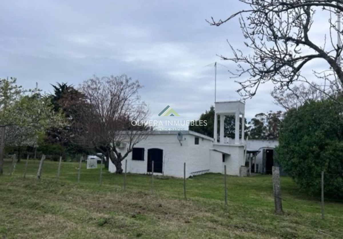 Campo Ref.11848 - Campo con cañada , monte eucaliptus , tajamar , casa 