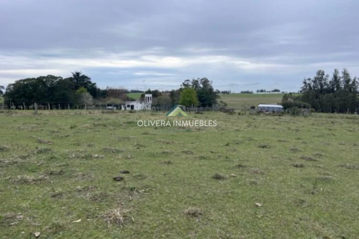 Campo Ref.11848 - Campo con cañada , monte eucaliptus , tajamar , casa 