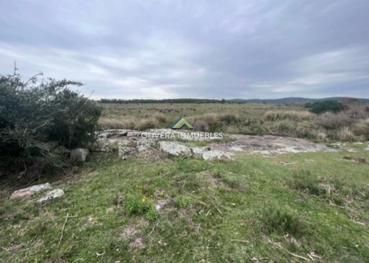 Campo Ref.11848 - Campo con cañada , monte eucaliptus , tajamar , casa 