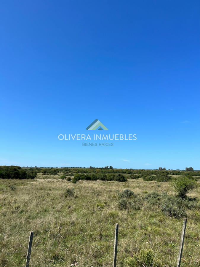 Campo Ref.9808 - VENTA DE CAMPO EN SAN CARLOS
