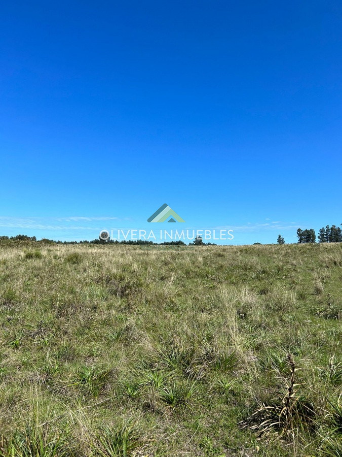Campo Ref.9808 - VENTA DE CAMPO EN SAN CARLOS