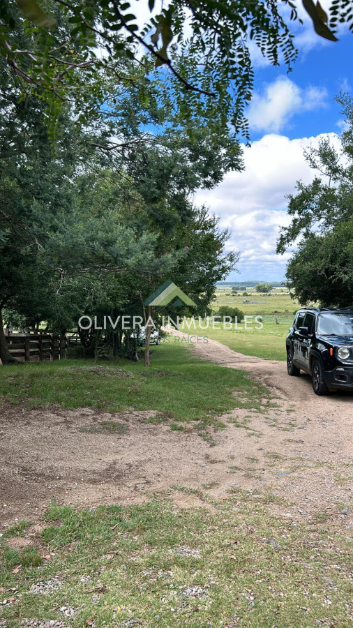 Campo Ref.11392 - Campo con casa-hotel en venta ubicado en Mariscala