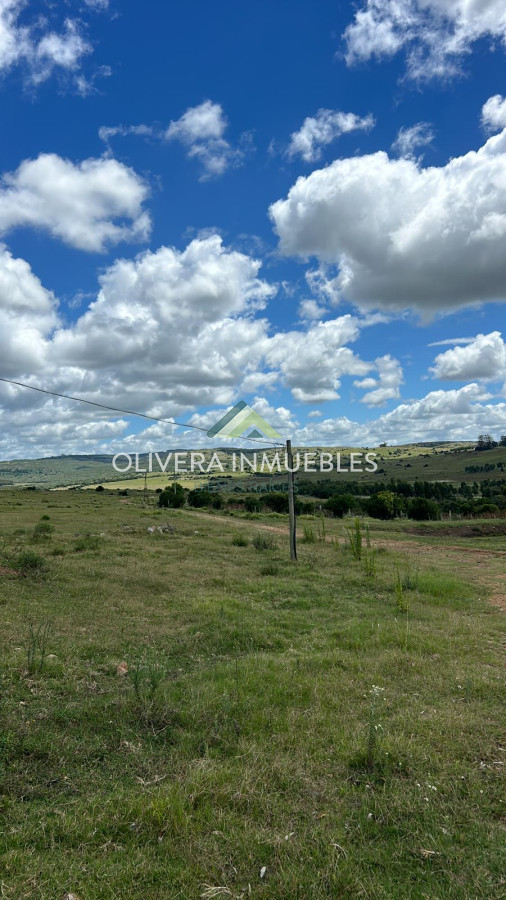 Campo Ref.11392 - Campo con casa-hotel en venta ubicado en Mariscala