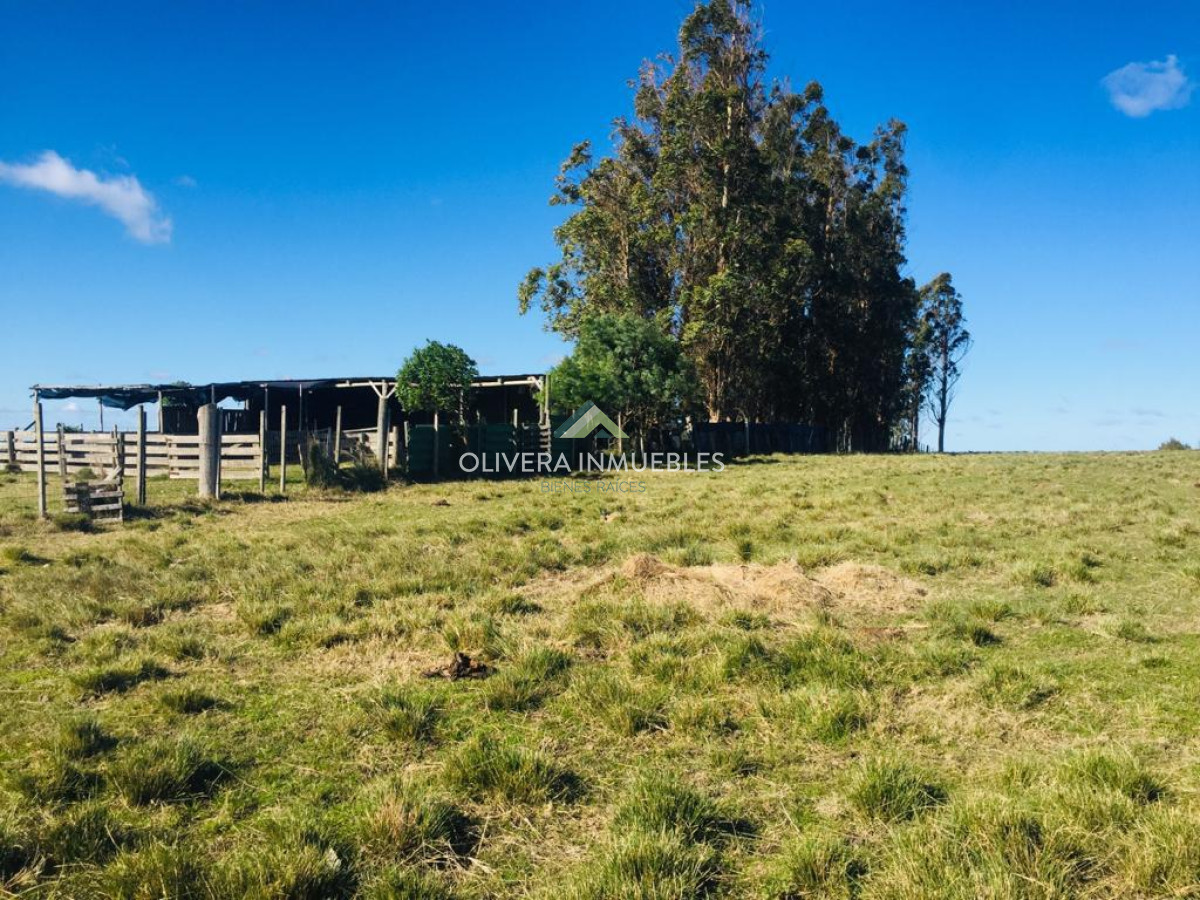 Campo Ref.9808 - VENTA DE CAMPO EN SAN CARLOS